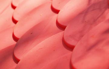 Bradshaw plastic roof costs